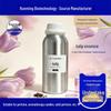 Tulip Essential Oil: High-Concentration Perfume for Aromatherapy, Candles, and DIY Fragrance Projects.