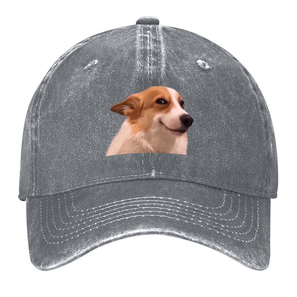 Sly smiling dog Meme Baseball Cap Big Size Hat Military Cap Man Sunscreen Sun Hat For Children Unisex Caps Women's