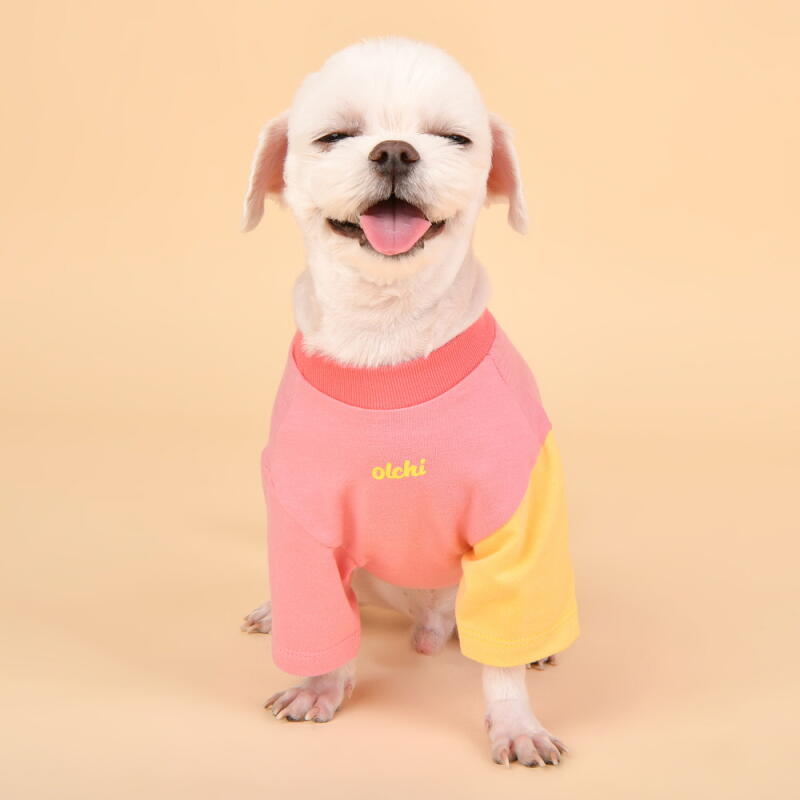 Yami Color Block T-shirt (OAUA-TS6180)