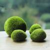 Marimo Moss Balls Konstgräs Sten Torv Mini Fairy Garden Micro Terrarium