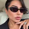 2025 New in Sunglasses for Women Cat eye Brand Sun Glasses Vintage Oval Eyewear Brand Designer Oculos UV400