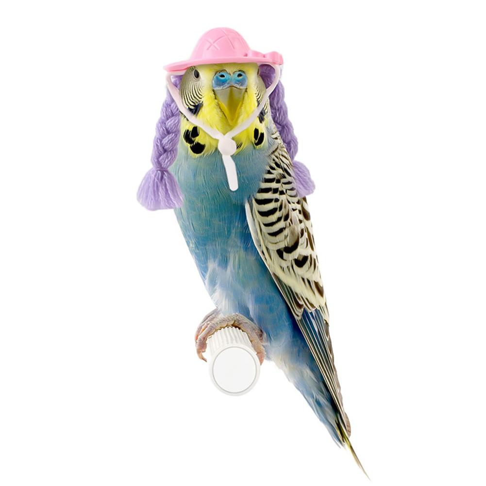 Pet Hamster Budgerigar Cockatiel Peony Parrot Bird Hat Funny Braid Hat Parrot Hat Small Animals Mini Hat Birds Toys