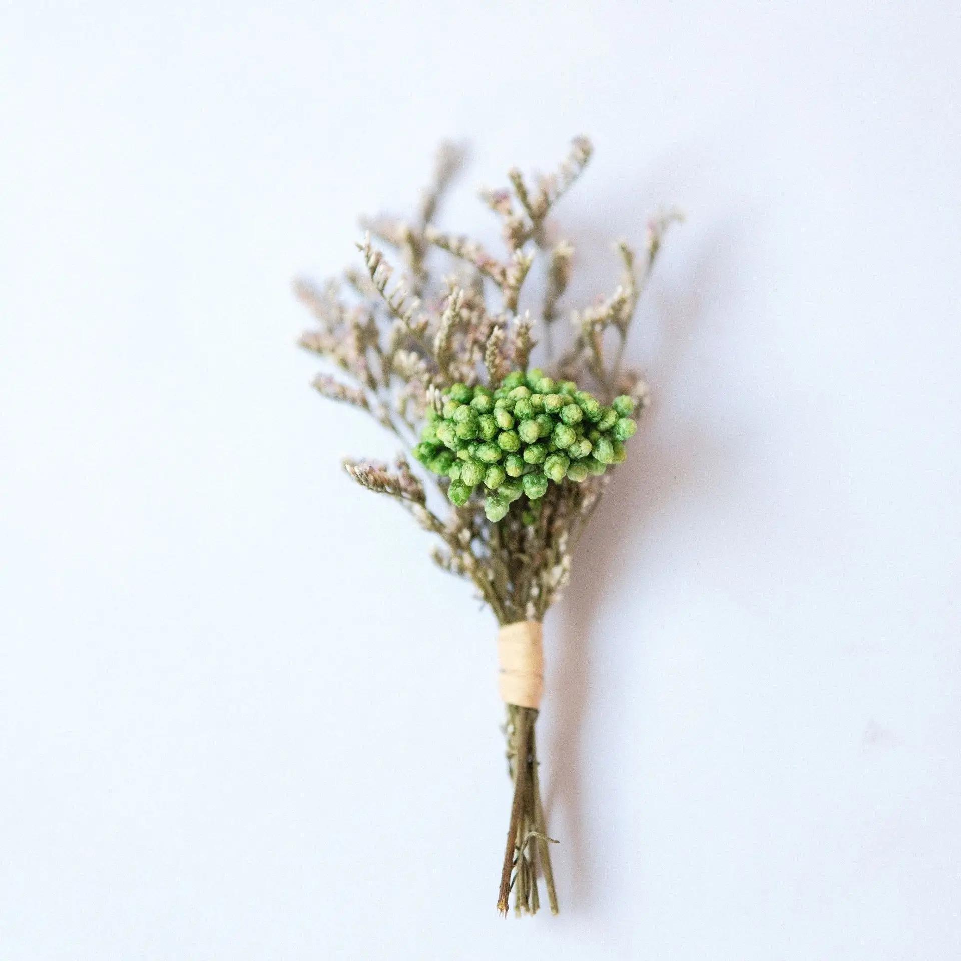 

Dried Flower Bouquet High-Quality Fingertip Bouquet Greeting Card Decoration Versatile Diy Flower Kit For Diy Projects Event