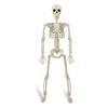 36" Halloween Posable Skeletons Full Body Plastic Human Bone Model with Movable Joints for Yard Haunted House Indoor Outdoor Decor