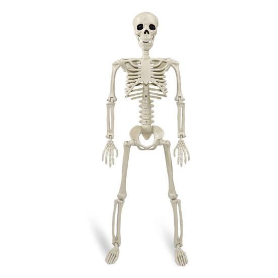 36" Halloween Posable Skeletons Full Body Plastic Human Bone Model with Movable Joints for Yard Haunted House Indoor Outdoor Decor