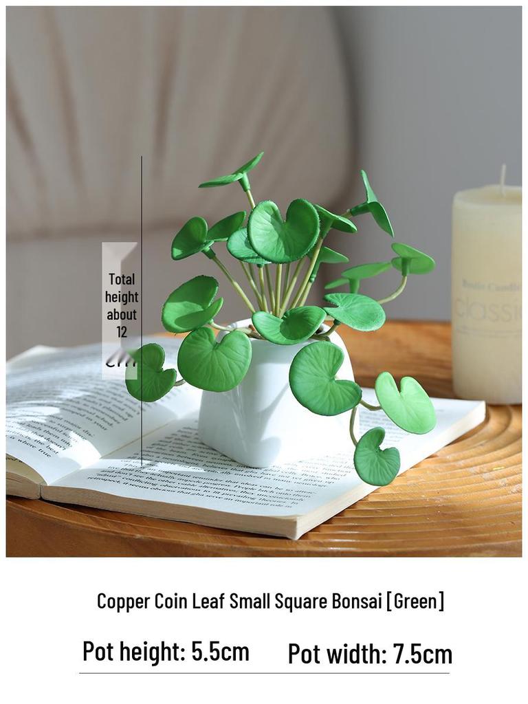 Miniature Succulent Bonsai Desk Ornament: Green Plant Props for Home or Office Decor