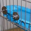 1PC Bird Bath Long Bathtub Shape Feeding Bath Water Multi-functional Bath Box Bird Supplies Parrot Bath Basin Small Pet Utensils