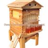 Insekten – Bienenzucht