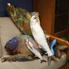 Simulated Piranha Torpedo Dragon Sea Bass Tilted Mouth Little White Rabbit Pillow Long Strip Cute Fish Plush Toy Doll