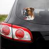 Adesivo per Auto Amante Cane Boxer Tedesco Decalcomania in Vinile Impermeabile Finestrino Posteriore Moto Camper Paraurti Camion Decorazione Laptop Y18
