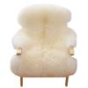 Modern Plush Sheepskin Carpet for Living Room and Sofa Cushion