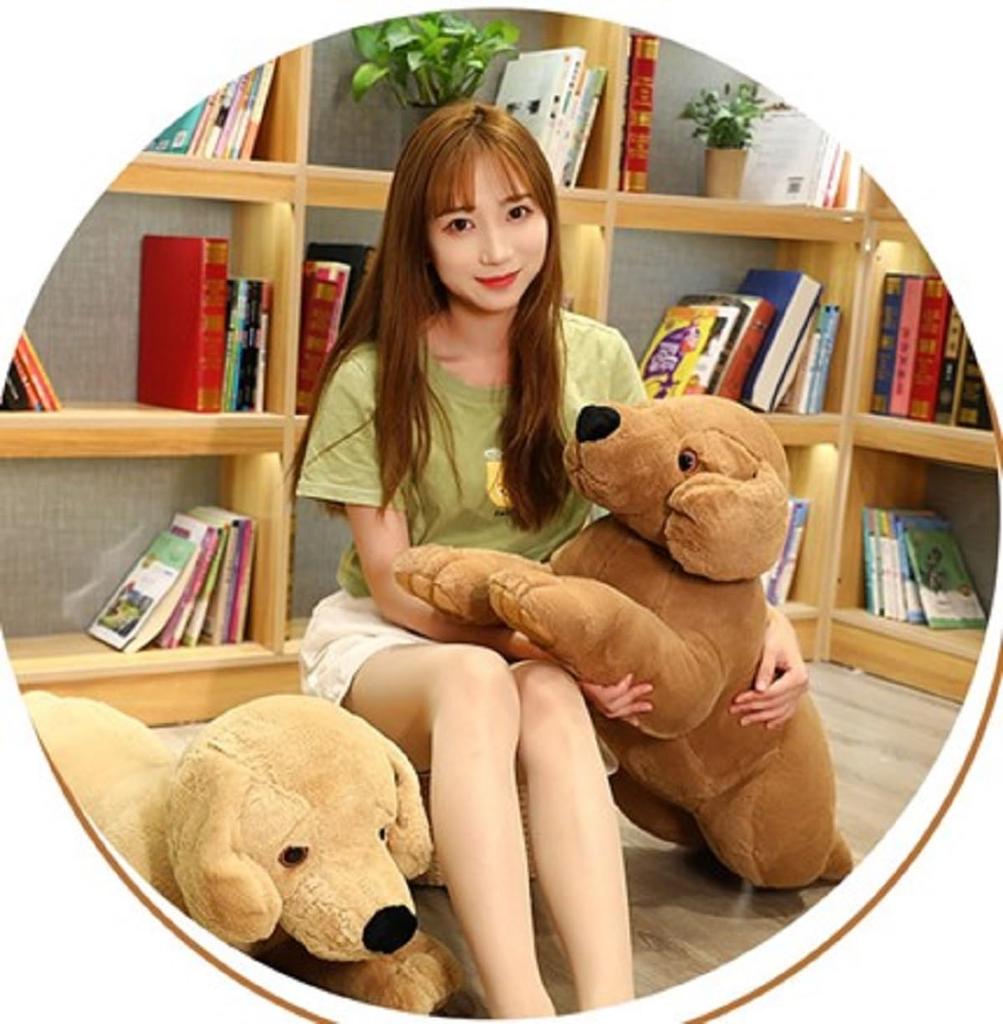 Comfortable and Fluffy Labrador Retriever Plush Toy Pillow, Perfect As a Gift for Children, Friends, or Girlfriends. Brown, 60cm.