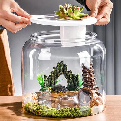 Transparenter Schildkröten-Aquarium-Schildkröten-Behälter mit abnehmbarem Deckel Schreibtisch-Dekoratives Terrarium-Behälter DIY Mikro-Landschafts-Fischbecken