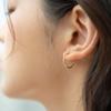 FANTASTIC PLANET Pattern Ring Earrings (2size 2colors)