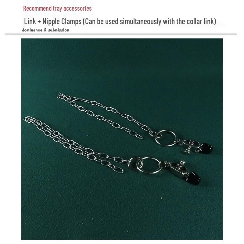 Adjustable Load-Bearing Anal Hook for BDSM Play