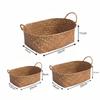 Portable Handwoven Rattan Basket Desktop Storage Tool Rattan Storage Basket Storage Baskets with Handle