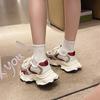 Spring, Summer, Autumn and Winter New Sports Single Shoes Trendy Shoes INS Dad Shoes Student Shoes