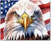 DIY Paint by Numbers Eagle and USA Flag 40x50cm Acrylic Paints