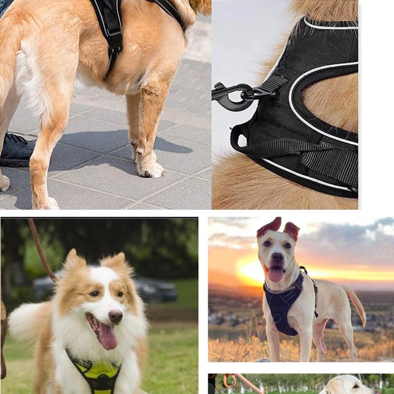 Dog Leash Vest Pet Nylon Chest Back Carry Pet Supplies Travel Accessories Reflective Design Portable Leads Pet Chest Back Leash