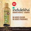 Indulekha Bringha Shampoo Hair Fall Control And Growth Pack Of 2 340ml Each Nourishing Ayurvedic Cleanser For Stronger Thicker Shiny Hair