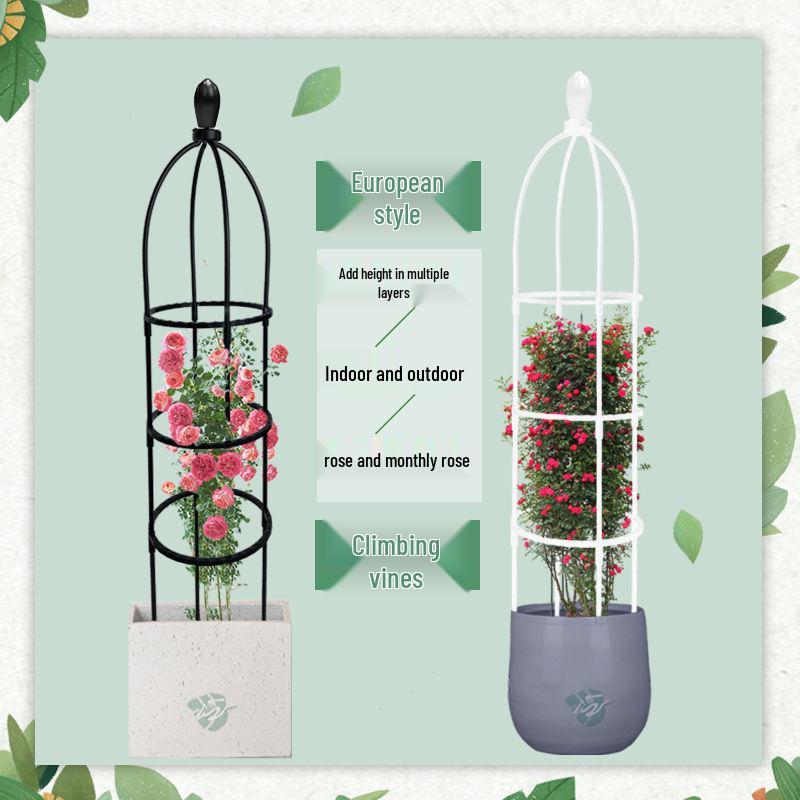 Clematis Rose Support Flower Stand with Climbing Frame for Indoor Plants