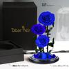Luckystar Beauty and The Beast Handmade preserved flowers made with real never eternal 3 blooms in a glass gift perfect for anniversary or as a gift