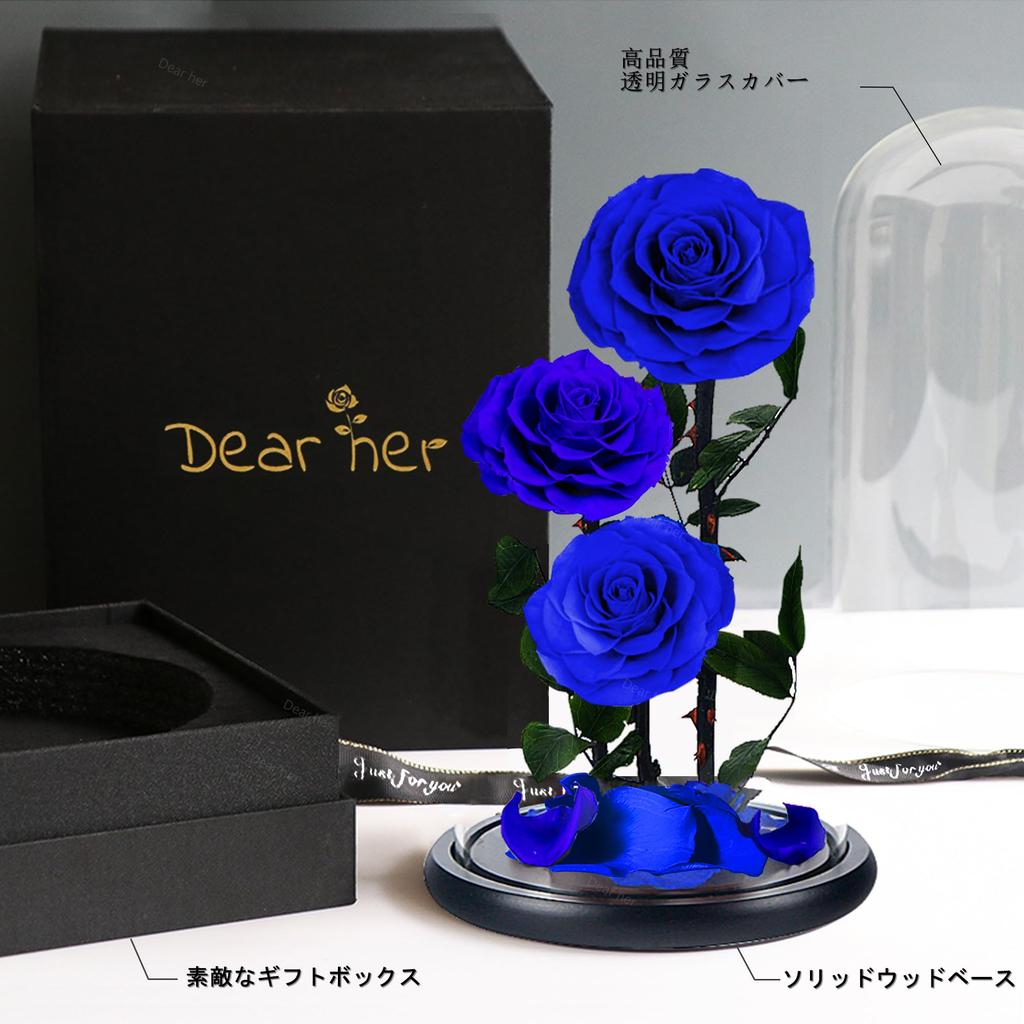 Luckystar Beauty and The Beast Handmade preserved flowers made with real never eternal 3 blooms in a glass gift perfect for anniversary or as a gift
