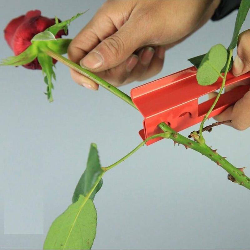 1 Set Rose Thorn Stem Leaf Stripper Florist Metal Rose Pliers for Removing Burrs Thorns Garden Safety Scissors Garden Tools