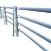 Elevated Bridge Barrier for Vehicle and Pedestrian Safety