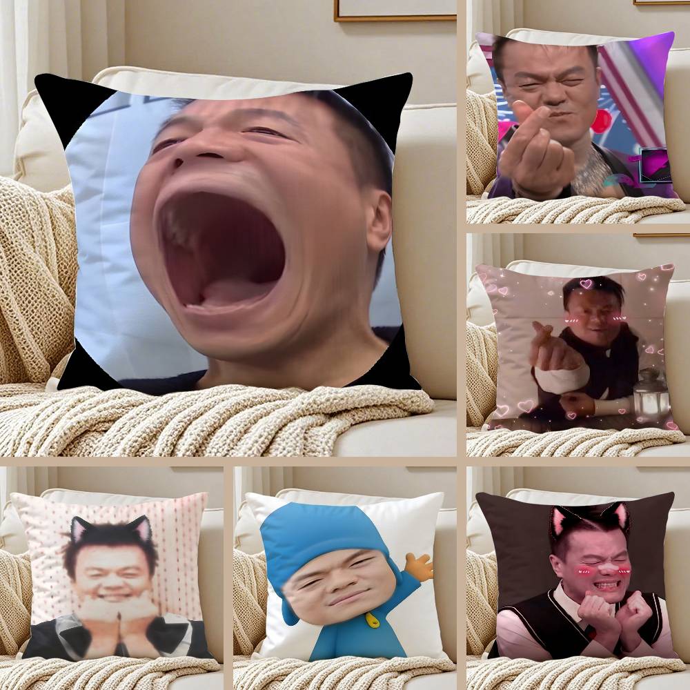 PPark JJinYYoung Funny Meme Pillow Case Antidustmite Invisible Zipper Sofa Bed