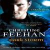 Dark Storm by Christine Feehan Paperback Book 9780749957544