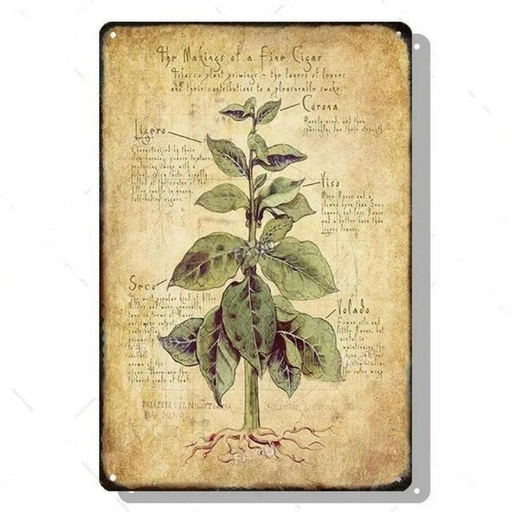 Whiskey Metallschilder Zigarren Wanddekoration Plakette Vintage Kunst Poster Eisenmalerei für Man Cave Zuhause Café Garten Club Bar