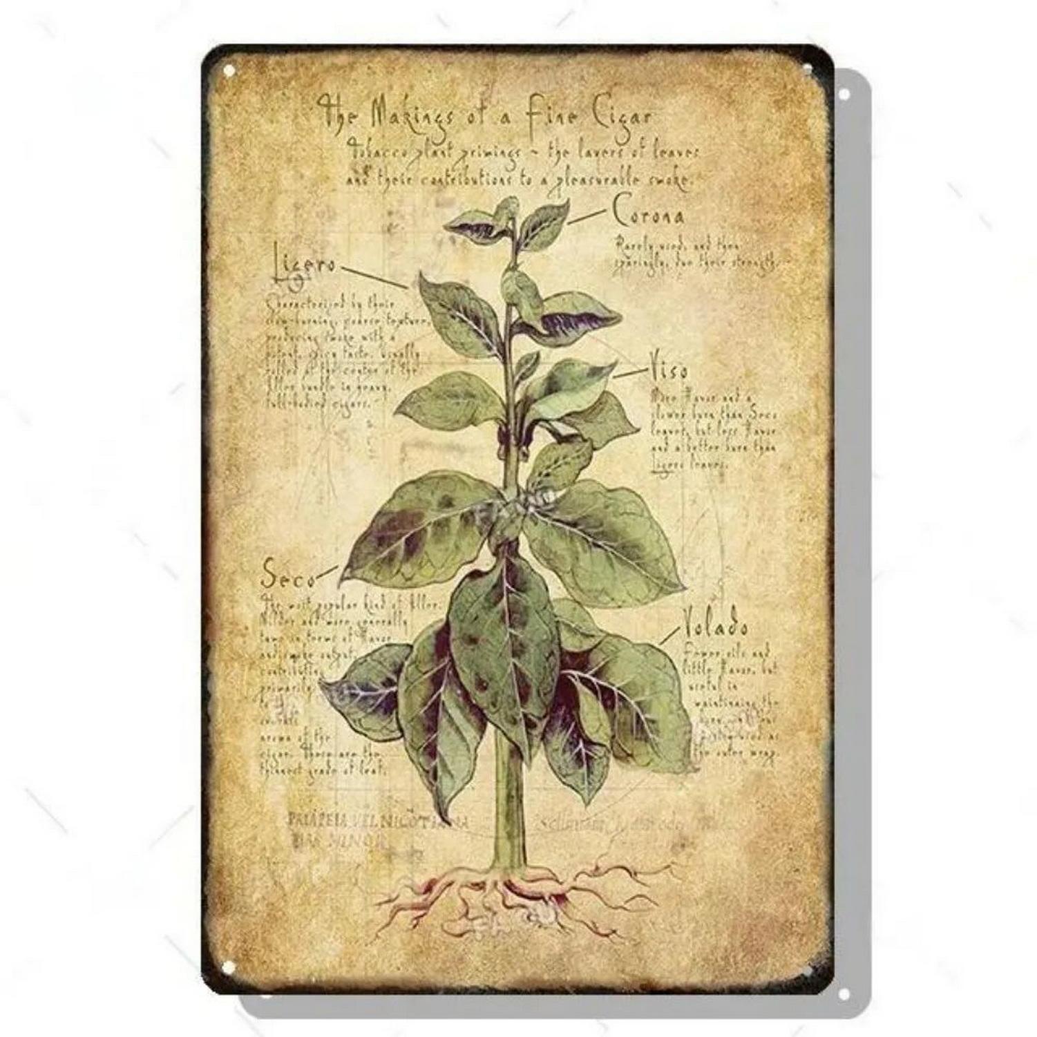 

Whiskey Metal Tin Signs Cigar Wall Decoration Plaque Vintage Art Poster Iron Painting for Man Cave Home Cafe Garden Club Bar 20X30CM