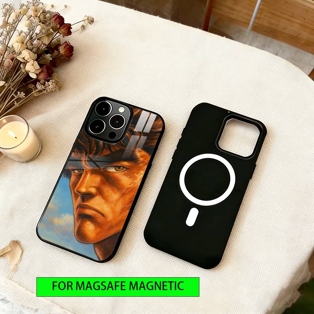 

Fist of the North Star Phone Case For iPhone17,16,15,14,13,12,11 Plus,Pro Magnetic with Magsafe Wireless Charging iPhone14ProMax