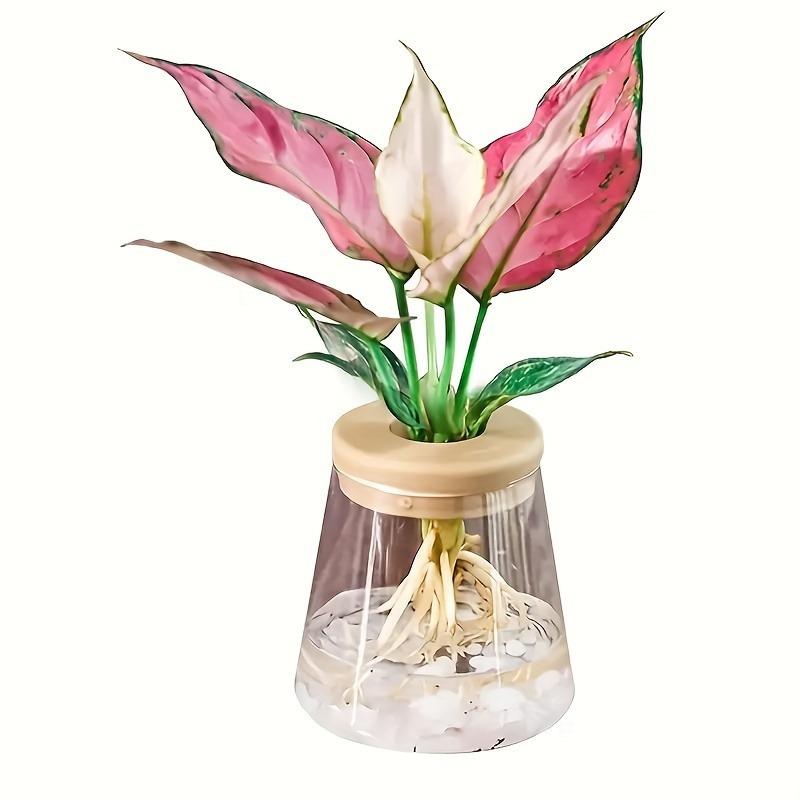 Plant Cultivation Station,Desktop Glass Flower Pot Glass Container Vase with Wooden Lid and Tray,Gifts for Plant Lovers(Hammer a