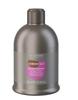 Alterego Chromego Silver Maintain Shampoo 300