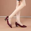 Spring Autumn Women's Mid Heel Thick Heel Versatile Soft Sole Professional Shallow Mouth Comfortable Pointed Women's Shoes