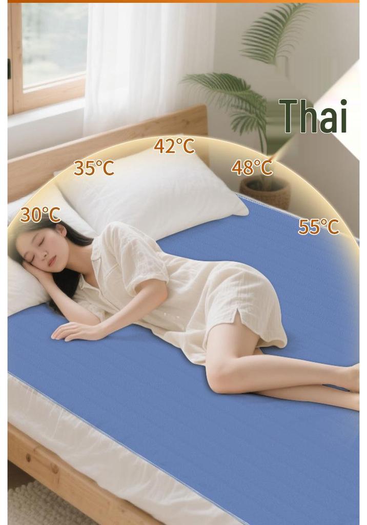 Smart Electric Heating Blanket with Dual Control & Dehumidification for Home - Dust Mite Removal, Water Heating, Constant Temperature