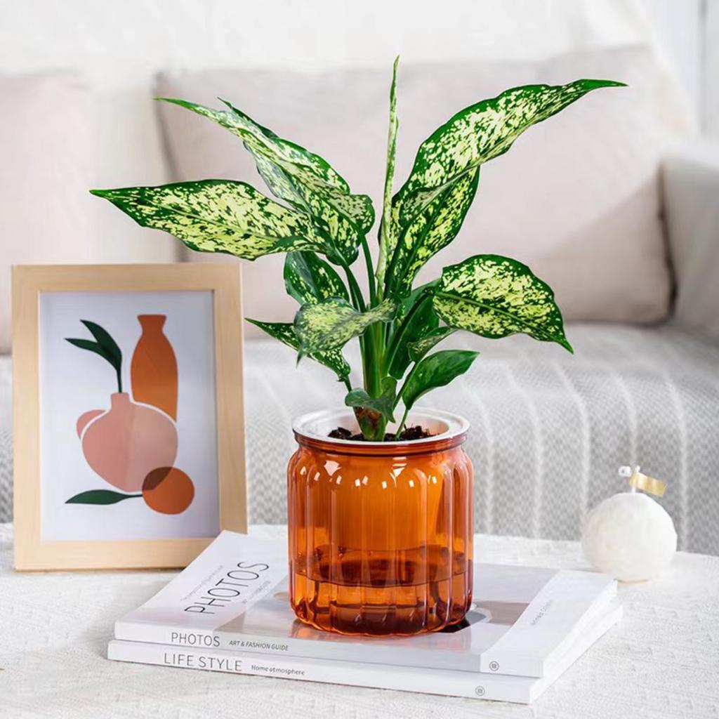 Self-priming Lazy Hydroponic Flower Pot Plastic Resin Flower Pot