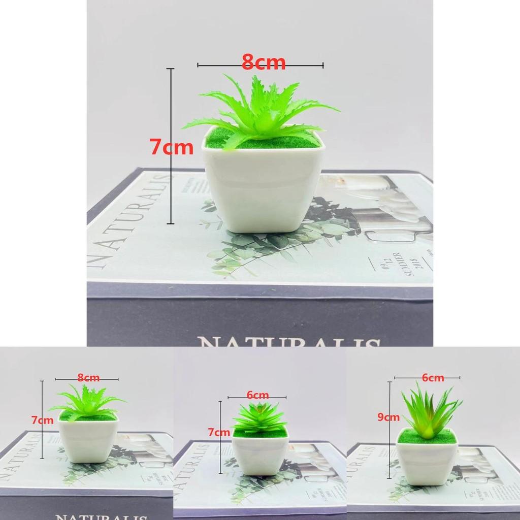Artificial Succulent Plant With Pvc Material For Home Decor And Gift Ideas