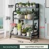 Ou Shuomai Black Stainless Steel Rolling Ladder Plant Stand