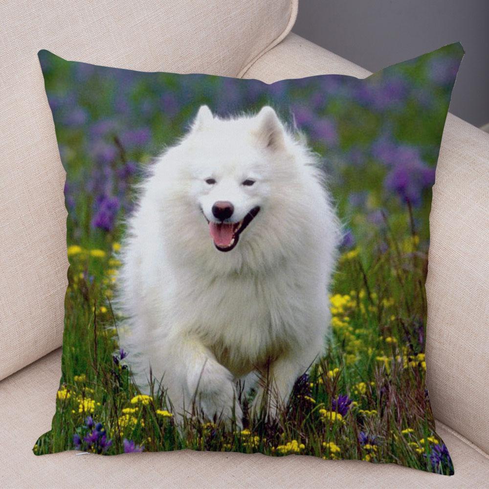50 Stil Husă de Pernă Câine Alb Drăguț Samoyed Decor Husă de Pernă Animal de Companie Iubitor Husă de Pernă Moale de Pluș pentru Canapé Cameră Copii