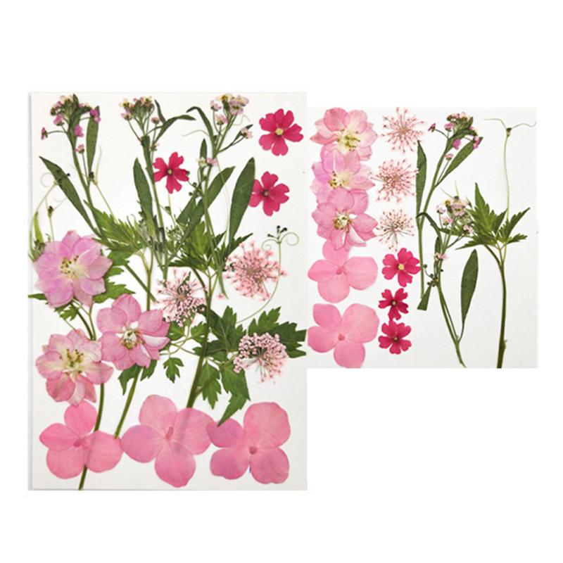 4 Inch 6 Inch Diy Glass Photo Frame Handmade Creative Simple Dried Flower Picture Frame Minimalist