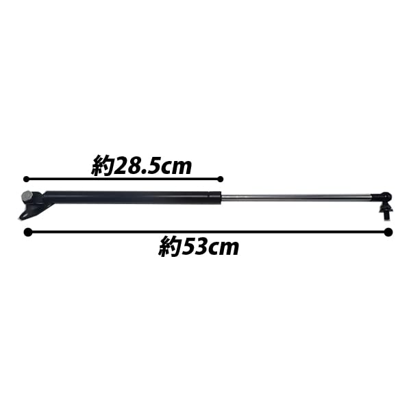 Wellvie Land Cruiser Rear Gate Set of Left and Common for Left and Back Door Land Custom Car Reference Genuine Part HDJ101K/UZJ100W Damper, 2, Right,