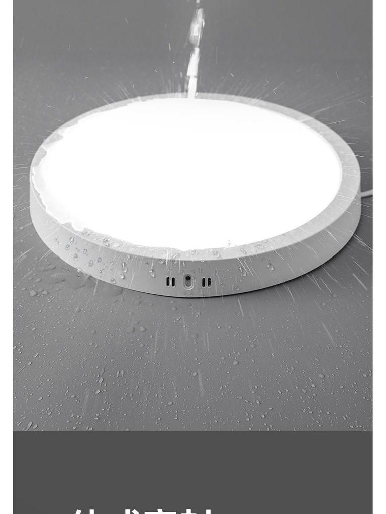 Waterproof LED Ceiling Light for Kitchen, Bathroom, and Outdoor Areas