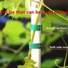 Garden Plant Ties Set 3/5/10 Pack, 39.4" Self-Adhesive Reusable, Adjustable Plant Support with Cable Ties for Secure Growth