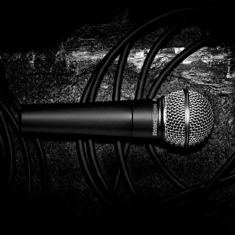 Shure SM58 Dynamic Vocal Microphone (CN version)