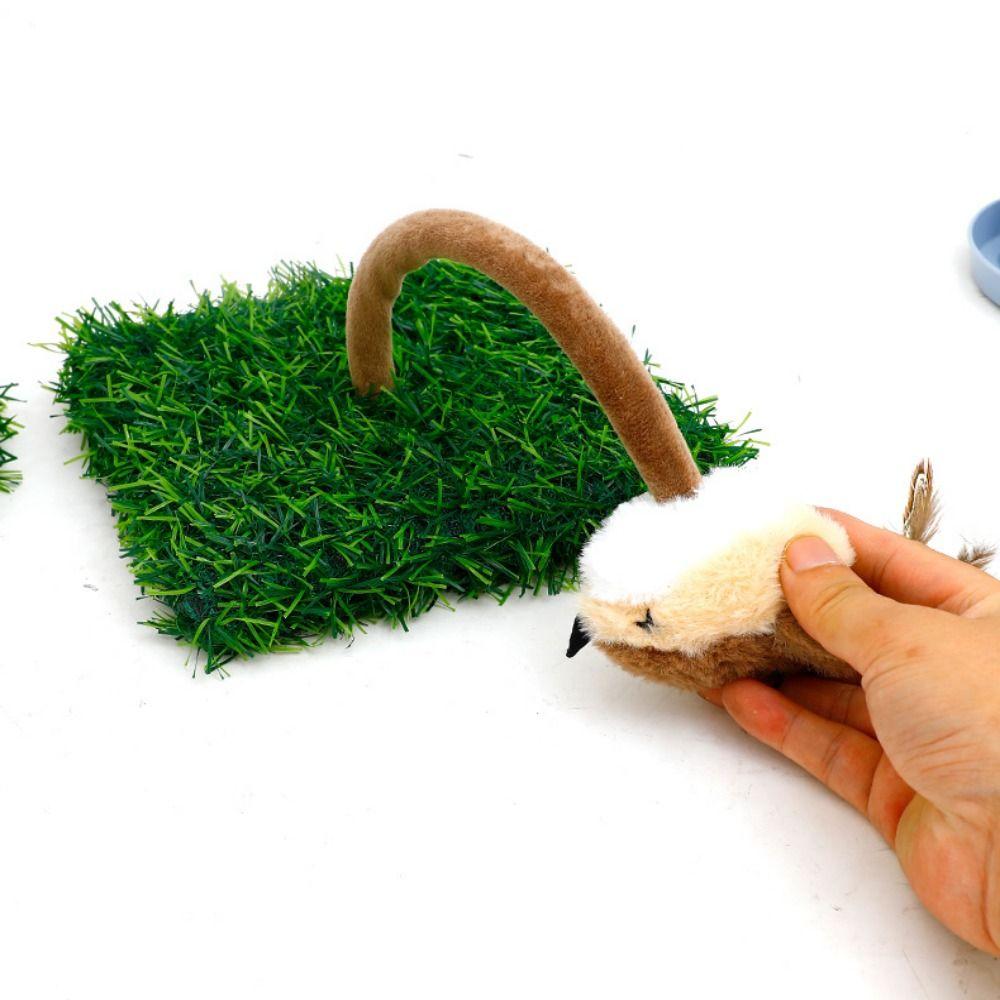Plush Sparrow Cat Scratching Tray Bite Resistant Teasing Cat Sounds Toy  for Cats Kittens