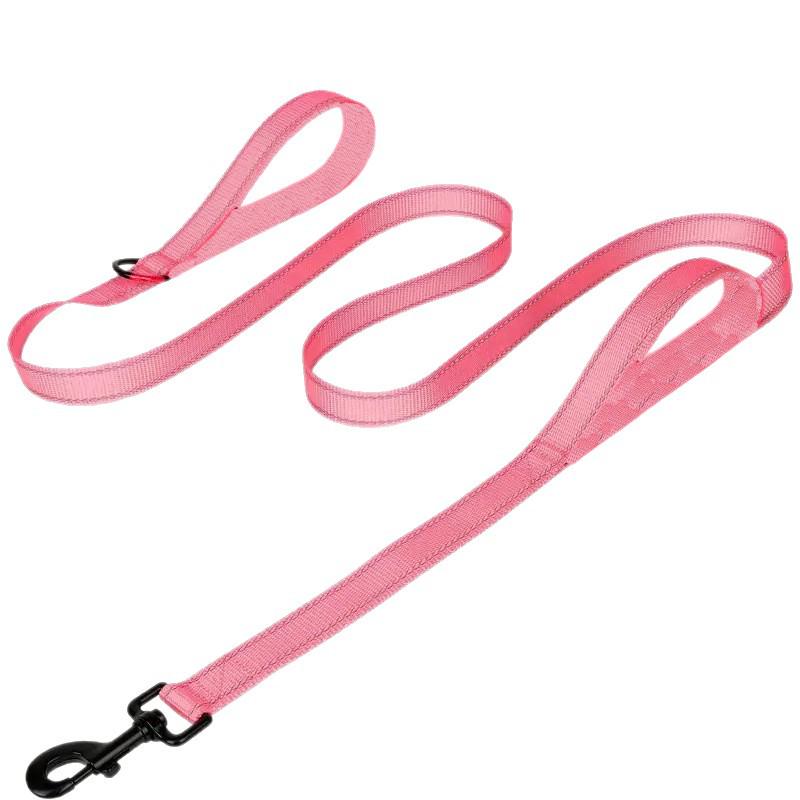 Double Layer Explosion-Proof Reflective Dog Leash - Shock-Absorbing, Thickened Pet Leash