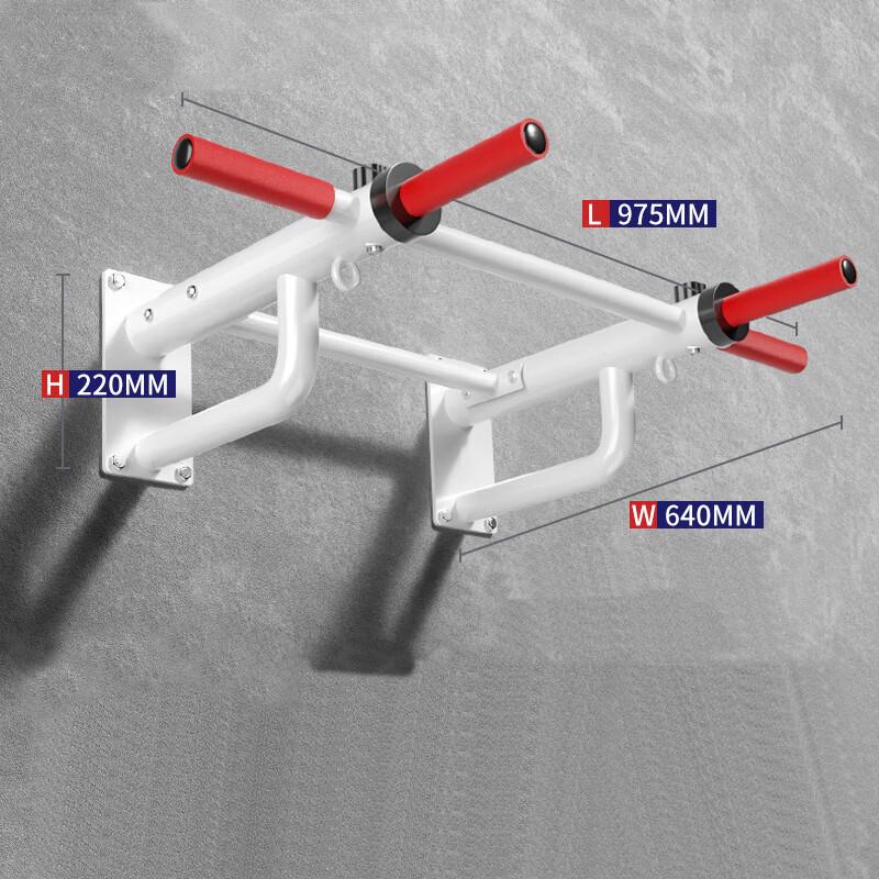 WEZHO Home Indoor Pull-up Bar & Dip Station